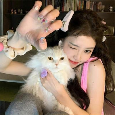 虹猫蓝兔光明剑